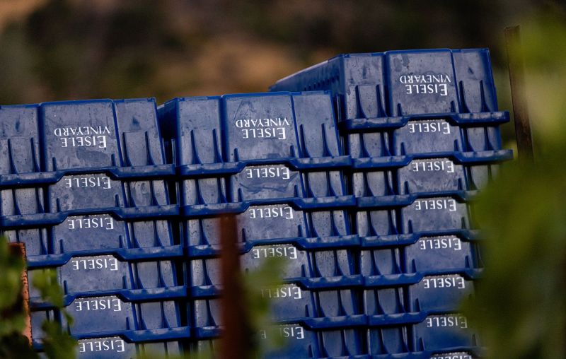 Eisele Vineyard Harvest Bins