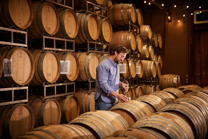 Saintsbury Cellar Wine Tasting