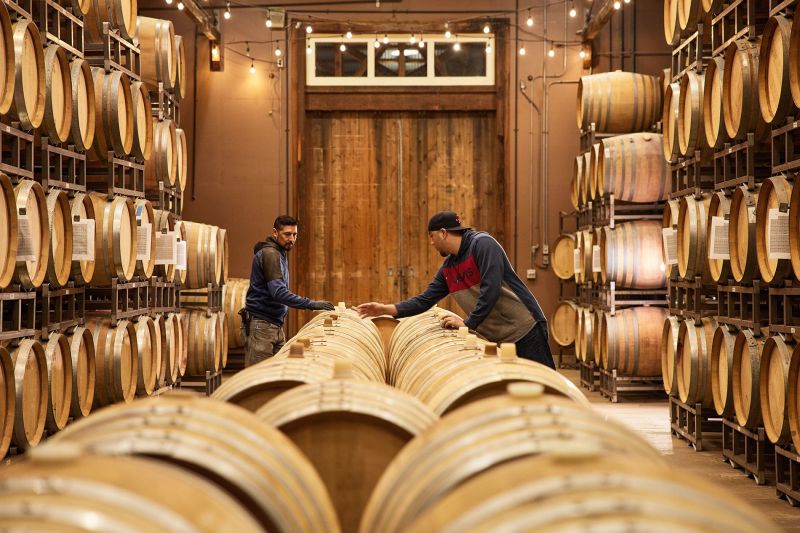 Saintsbury Vineyard