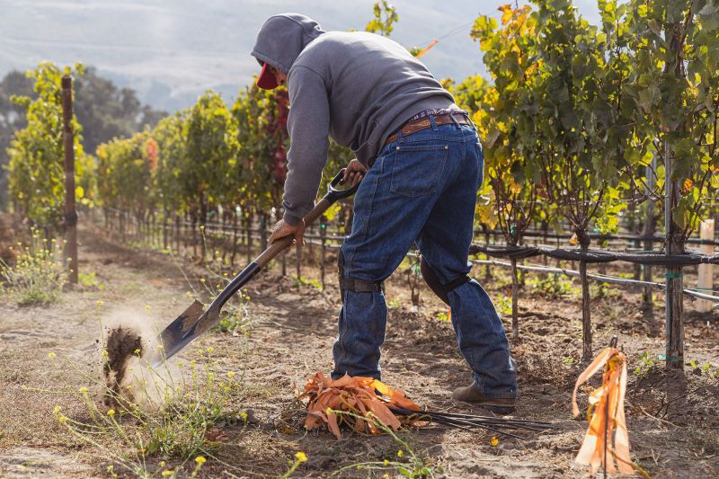 Seasmoke Biodynamic Farming